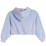 A light blue cropped hoodie with a high folded collar and long sleeves, shown from the back on a solid white background.