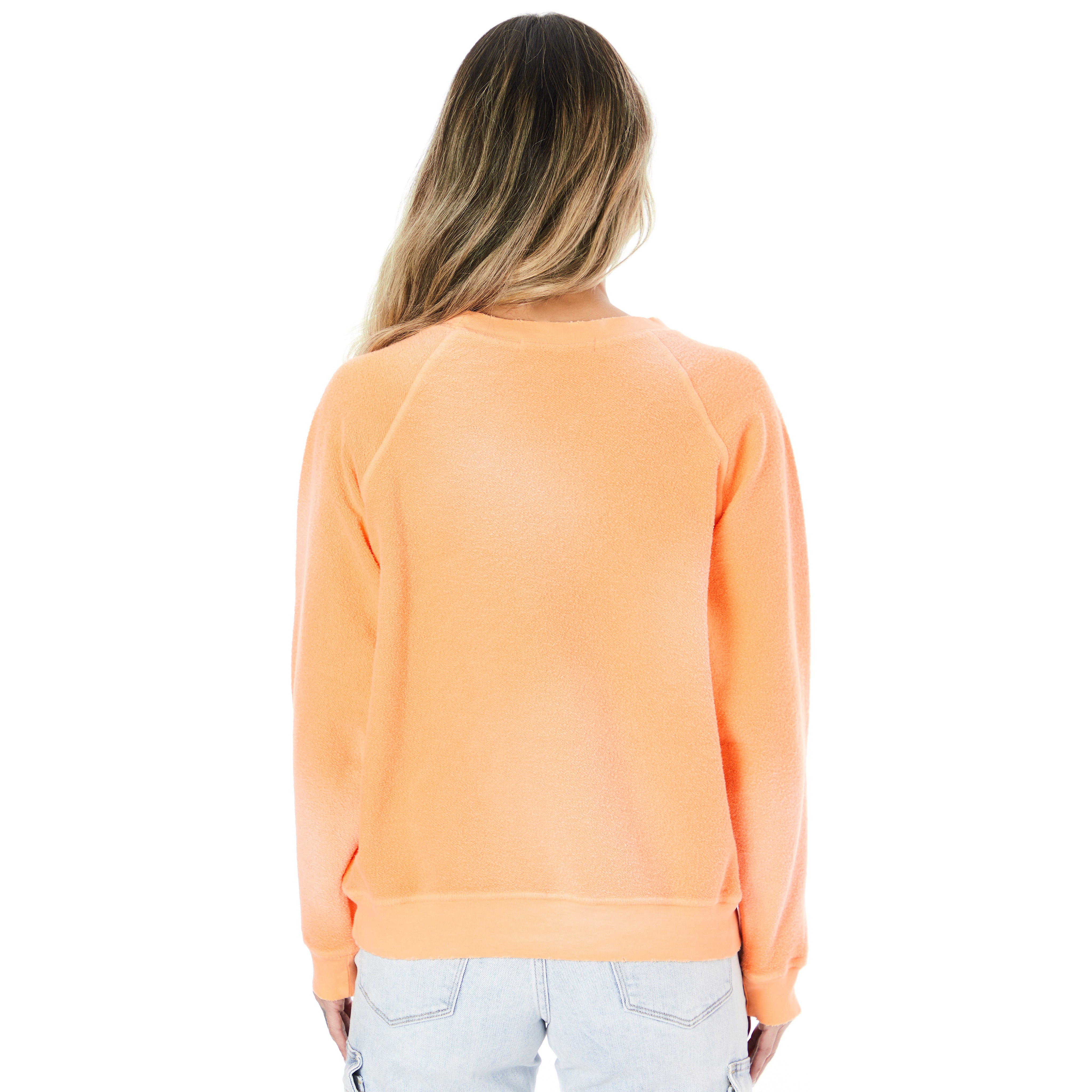 Pegasus Aviation Reverse Raglan Sweatshirt - Denny's