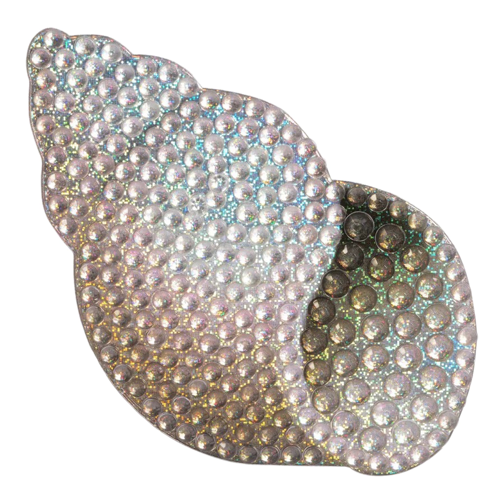 Seashell 2inch - Denny's