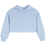 Shane Crop Hoodie