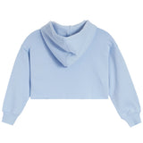 Shane Crop Hoodie