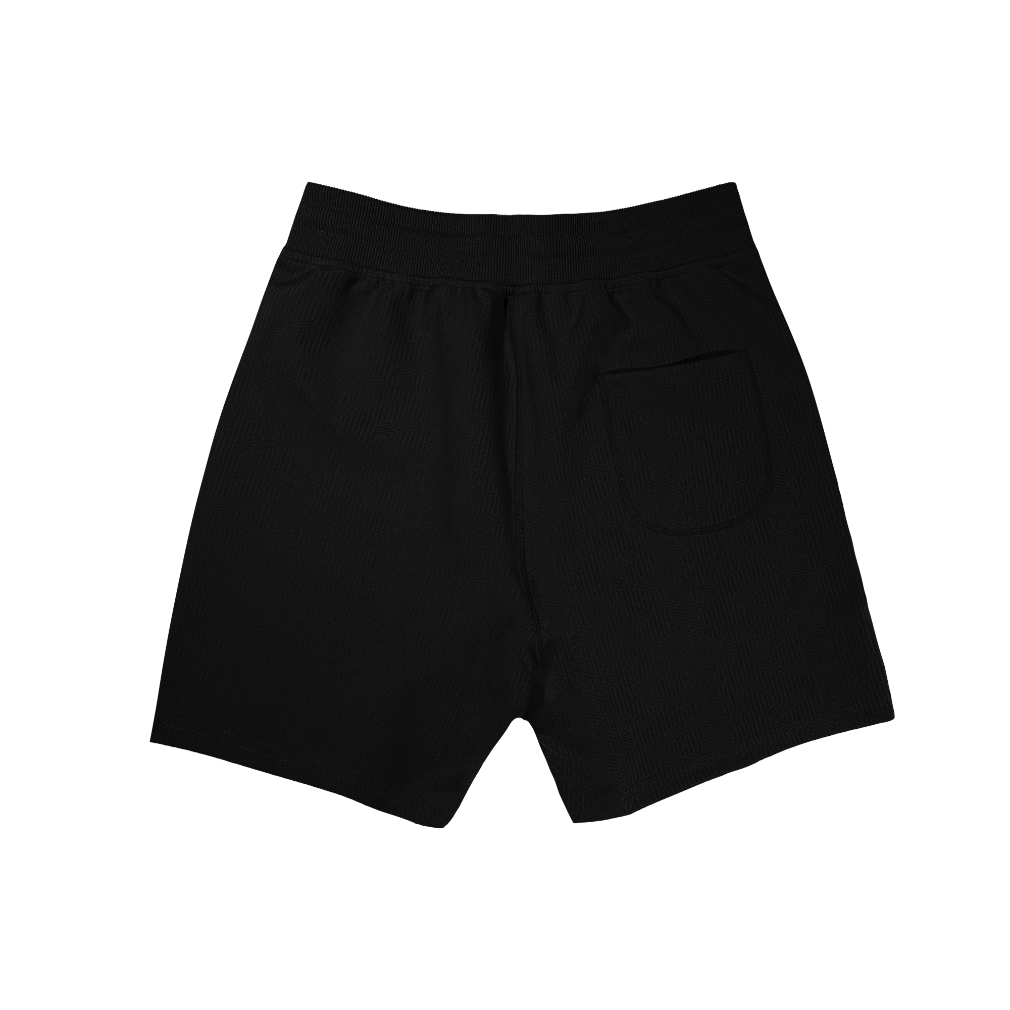 Black diamond Tech Jacquard Shorts with back pocket on transparent background
