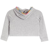A light gray heather cropped hoodie with a high folded collar featuring a colorful zigzag embroidered trim in pink, orange, yellow, and blue, displayed on a solid white background.