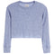 A light blue ribbed knit long-sleeve crop top sweater with a crew neck and ribbed cuffs, shown flat on a white background.