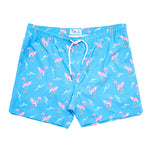 Surfing Flamingos Brief Liner Swim - Denny's