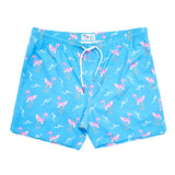 Surfing Flamingos Brief Liner Swim - Denny's