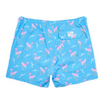 Surfing Flamingos Brief Liner Swim - Denny's