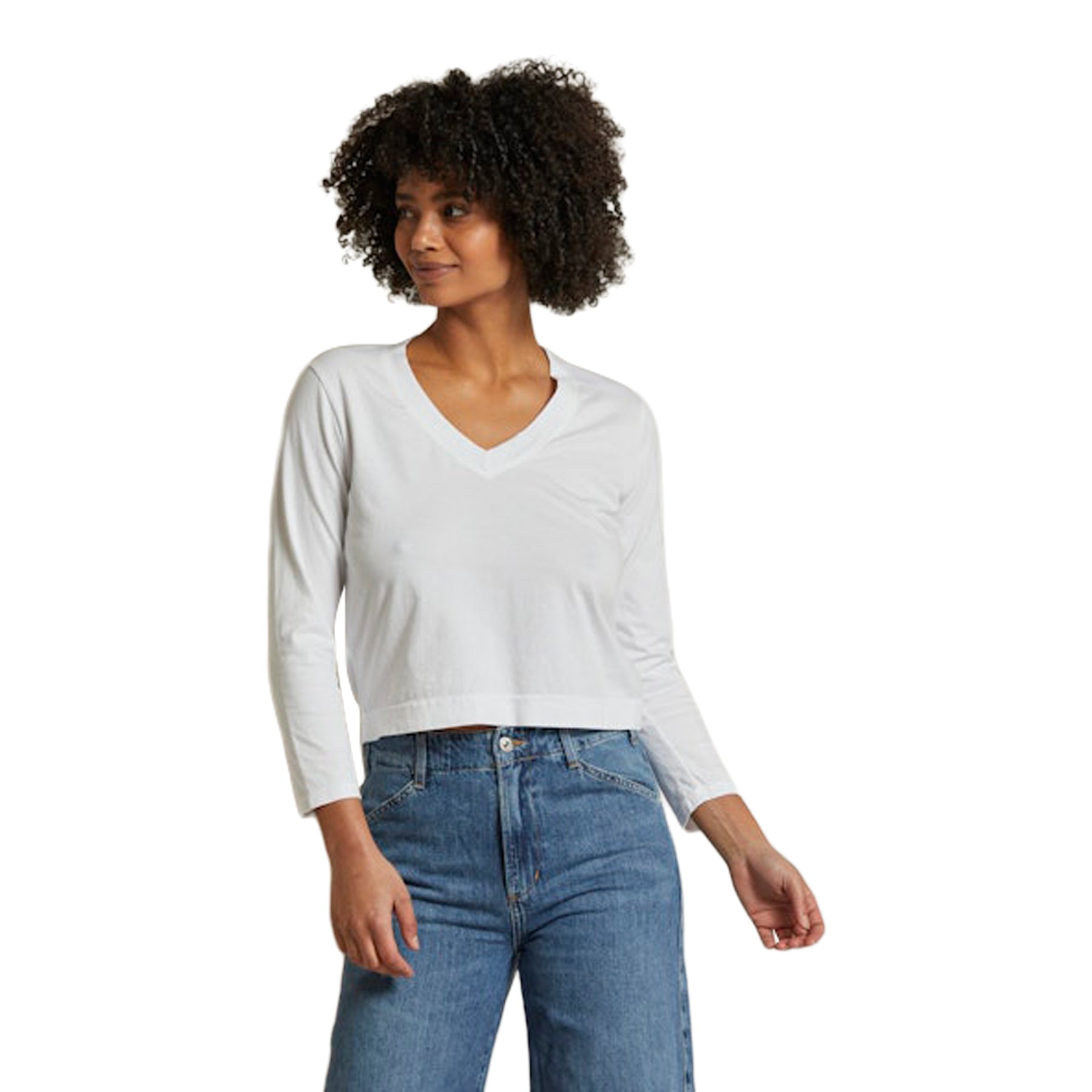Sinatra Ringspun V-Neck Shirt - Denny's