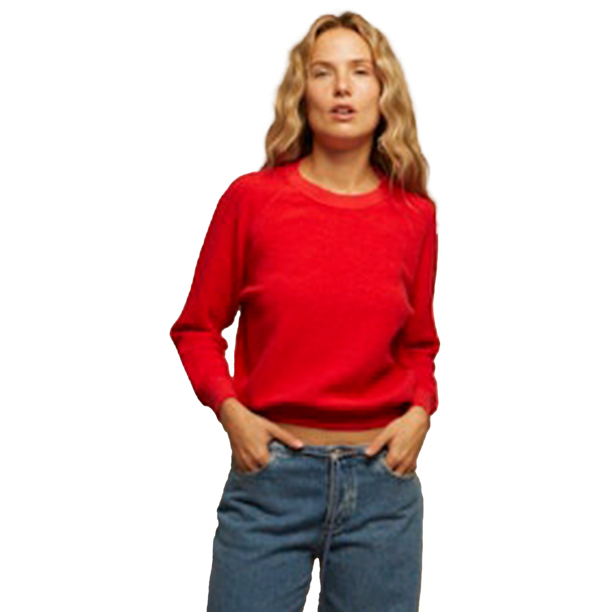 ZIggy Inside Out Fleece Sweatshirt - Denny's