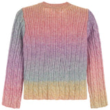 Ombre Sweater - Denny's