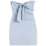 Teddie Bow Dress