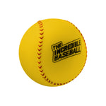 Incredible Baseball - Denny's