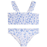 2pc Akita Bikini