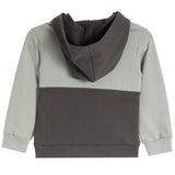 Classic Color Block Hoodie