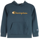 Power Blend Script Hoodie - Denny's