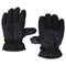 Water Proof Ski Glove - Denny's