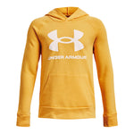 Rival Fleece Big Logo Hoodie - Denny's