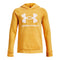 Rival Fleece Big Logo Hoodie - Denny's