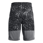 Stunt 3 0 Print Short - Denny's