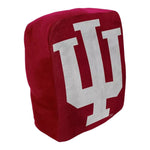 Indiana Cloud Pillow - Denny's