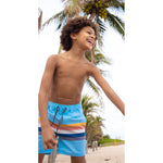 Vintage Stripe Boardshort - Denny's