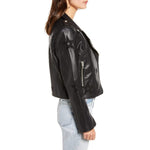 Shooting Stars Moto Jacket - Denny's