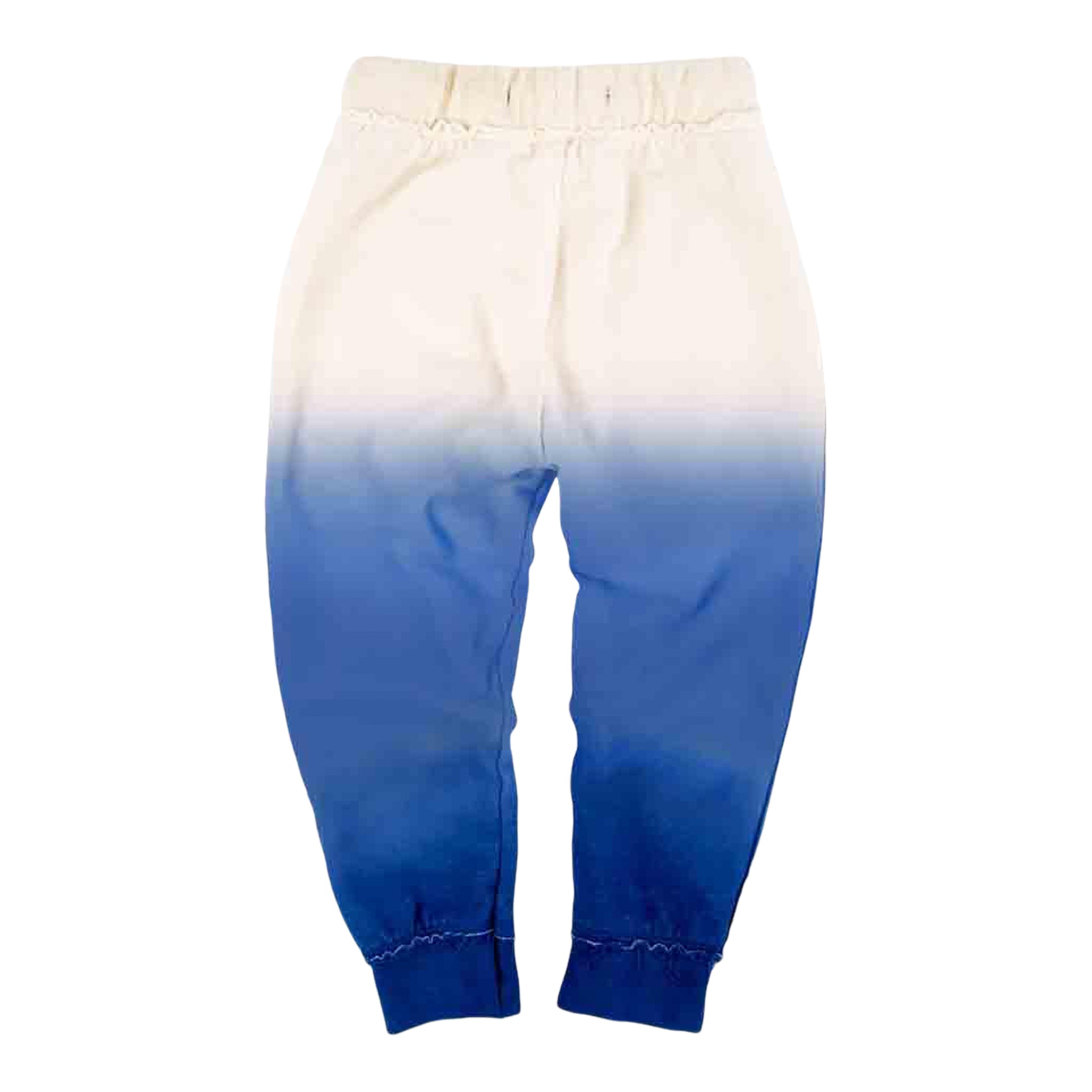 Iggy Blueberry Snowcone Jogger - Denny's