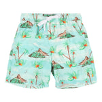 Volcano Island Swim Trunk - Denny's