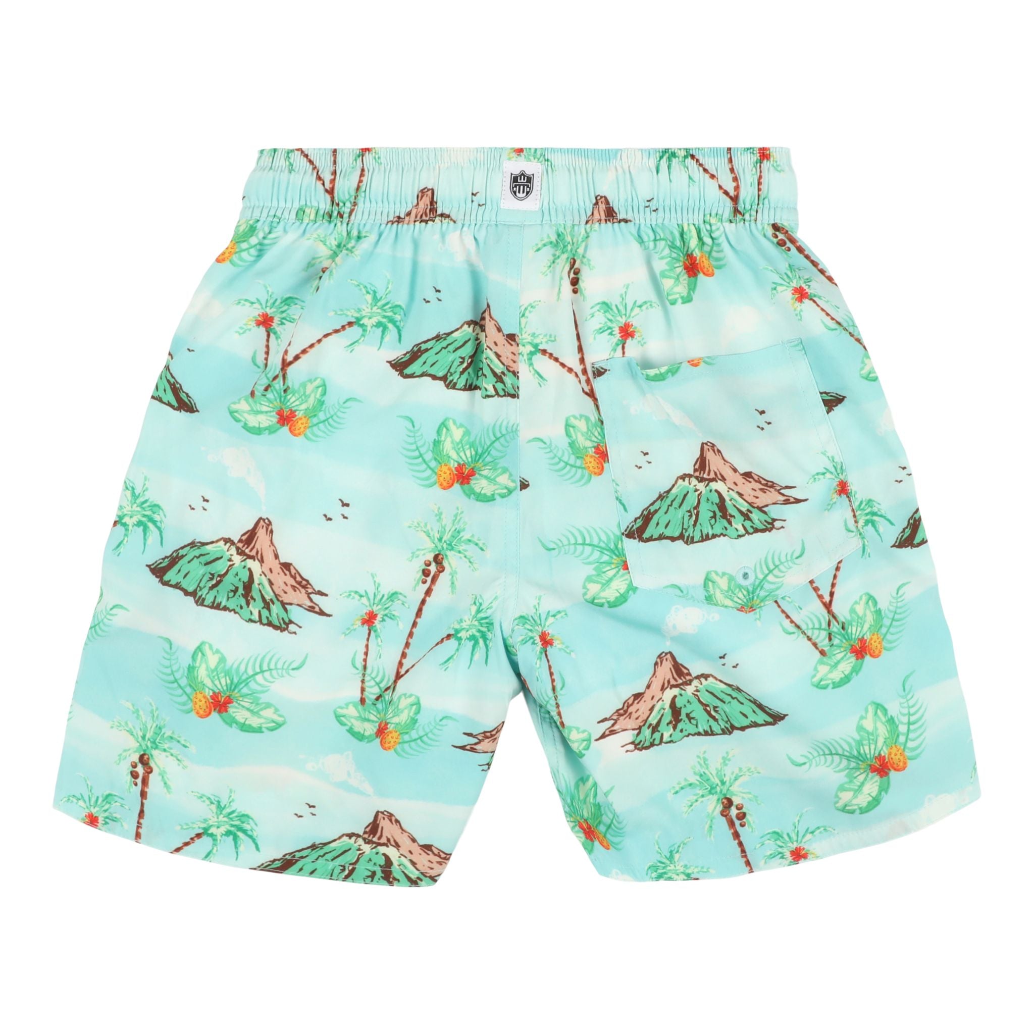Volcano Island Swim Trunk - Denny's