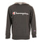 Champion Script Fleece Hoodie - Denny's