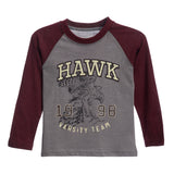 Hawk & Tigers 2pack Raglan Tees - Denny's