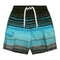 Surfline Stripe Swim - Denny's