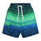 Surfline Stripe Swim - Denny's