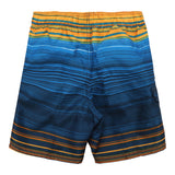 Surfline Stripe Swim - Denny's