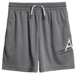 Jumpman Big Air Mesh Short - Denny's