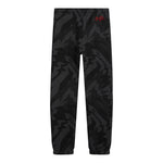Jordan Essentials Printed Jogger - Denny's