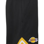Lakers Box Out Mesh Short - Denny's