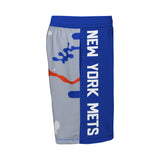 Mets Newsies Active Short - Denny's