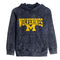 Michigan Mineral Wash Fleece Hoodie - Denny's