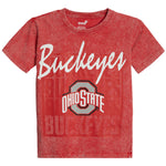 Ohio State Mineral Wash Tee - Denny's