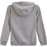 Michigan Vault Large Logo Hoodie - Denny's
