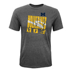 Michigan Full Tilt Triblend Tee - Denny's