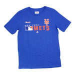 Mets Undefeated Tee - Denny's