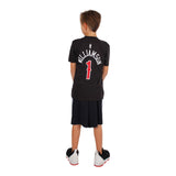 Williamson Pelicans Dark Icon Tee - Denny's