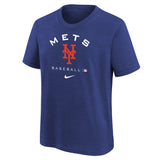 Mets Authentic Early Work Tee - Denny's