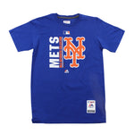Mets Team Icon Tee - Denny's
