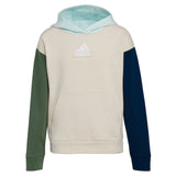 Free Style Color Block Hoodie - Denny's