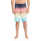 All Day Stripe Pro Boardshort - Denny's