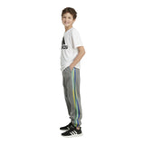 Game Fade 3 Stripe Jogger - Denny's