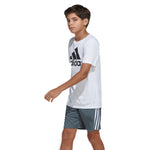 Classic 3 Stripe Mesh Short - Denny's